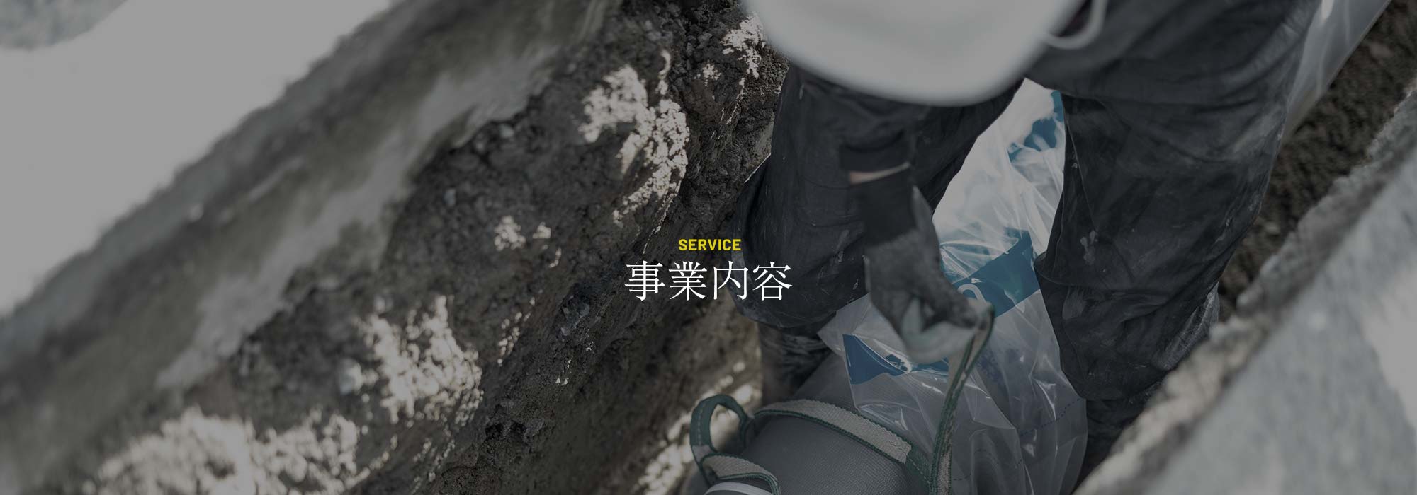 事業内容